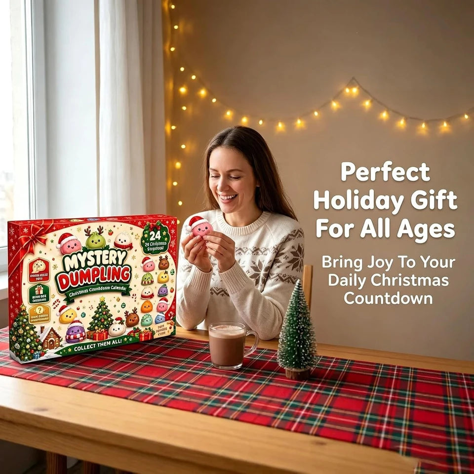 Advent Calendar Surprise Box